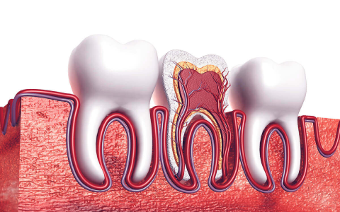 دندان دچار مشکل و نیاز به ترمیم عصب کشی